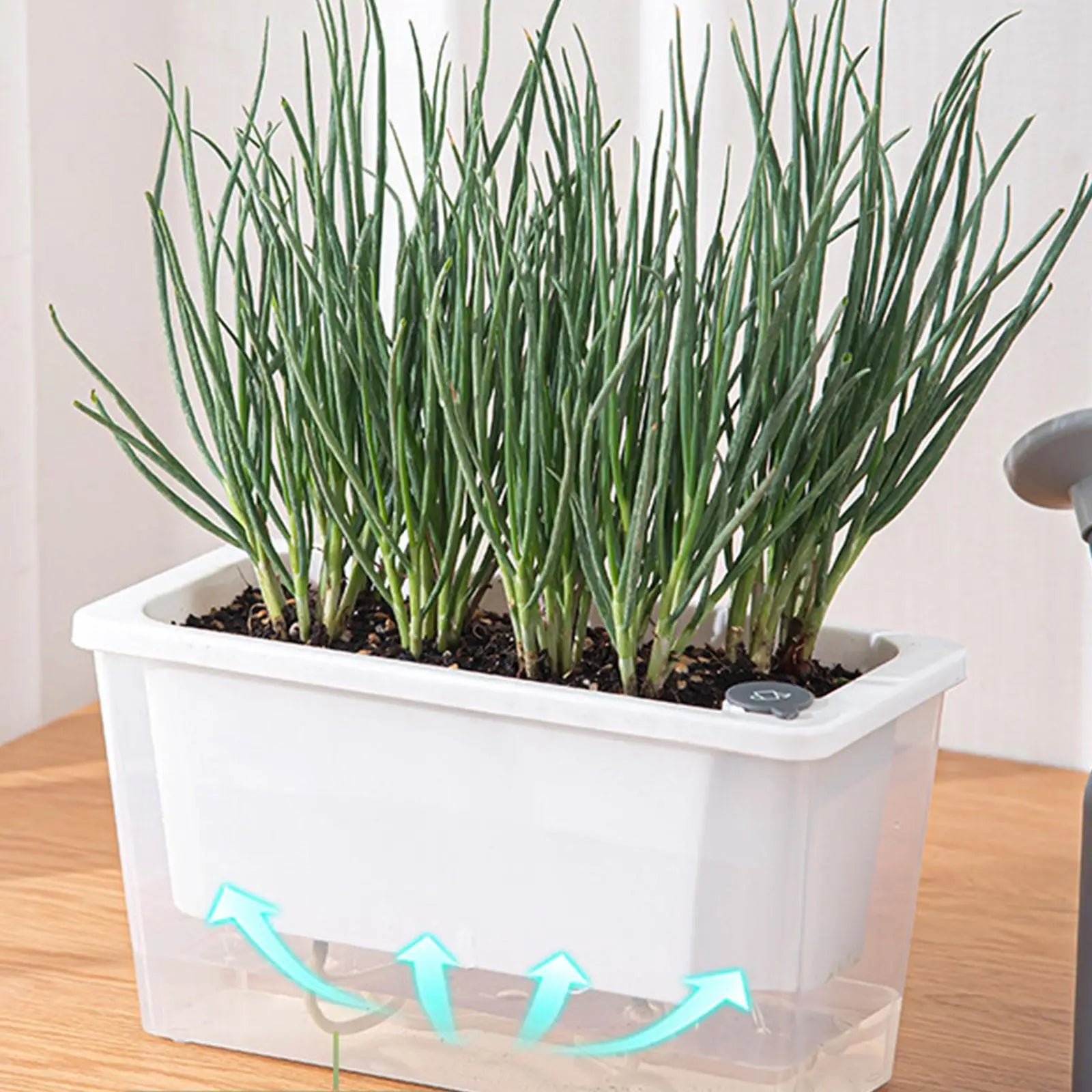 Balcony Self Watering Planter Flowerpot Indoor Succulent Hydroponic Plants Window Planter Box Bottom Home Indoor Lazy Flower Pot