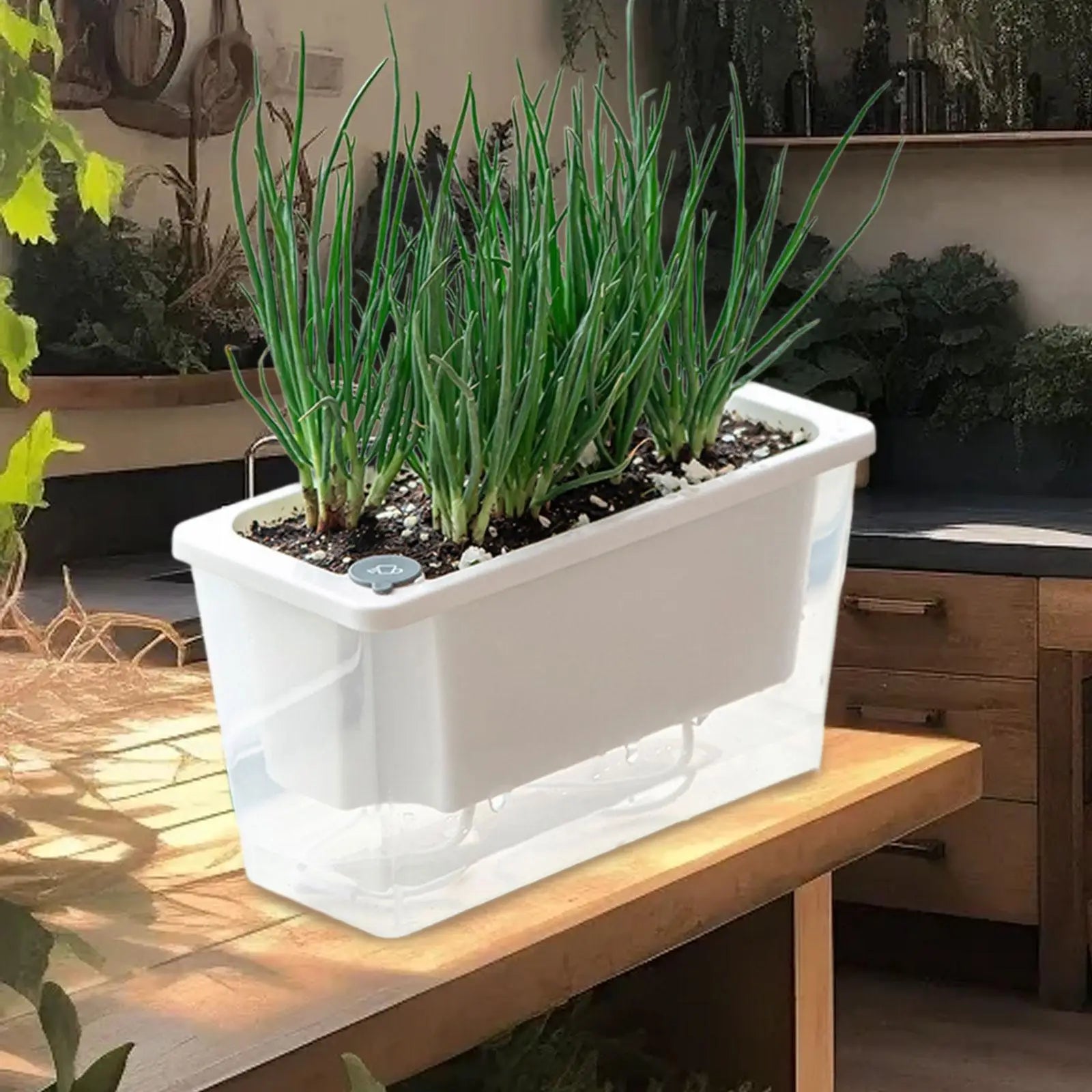 Balcony Self Watering Planter Flowerpot Indoor Succulent Hydroponic Plants Window Planter Box Bottom Home Indoor Lazy Flower Pot