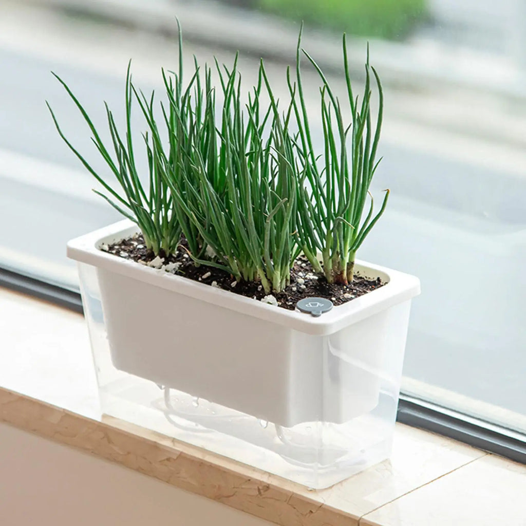 Balcony Self Watering Planter Flowerpot Indoor Succulent Hydroponic Plants Window Planter Box Bottom Home Indoor Lazy Flower Pot