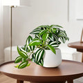 Top Quality Artificial Green Potted Plants for Daily Home Decor Ideal for Windowsills And Desktops