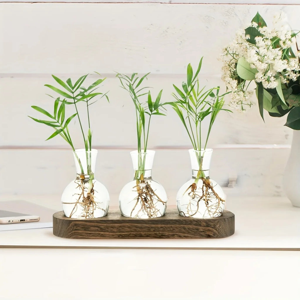 Modern Glass Plant Terrarium with Wooden Tray – Hydroponic Vase for Indoor Propagation Station, Desktop Home Office Decor