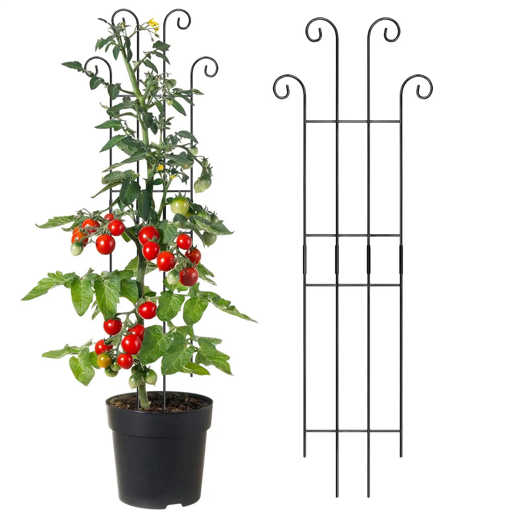 1pcs Plant Trellis Indoor Metal Plant Vertical Growth Trellis Potted Flowers Stakes For Monstera Tomato Flowers Ivy Pots Garden