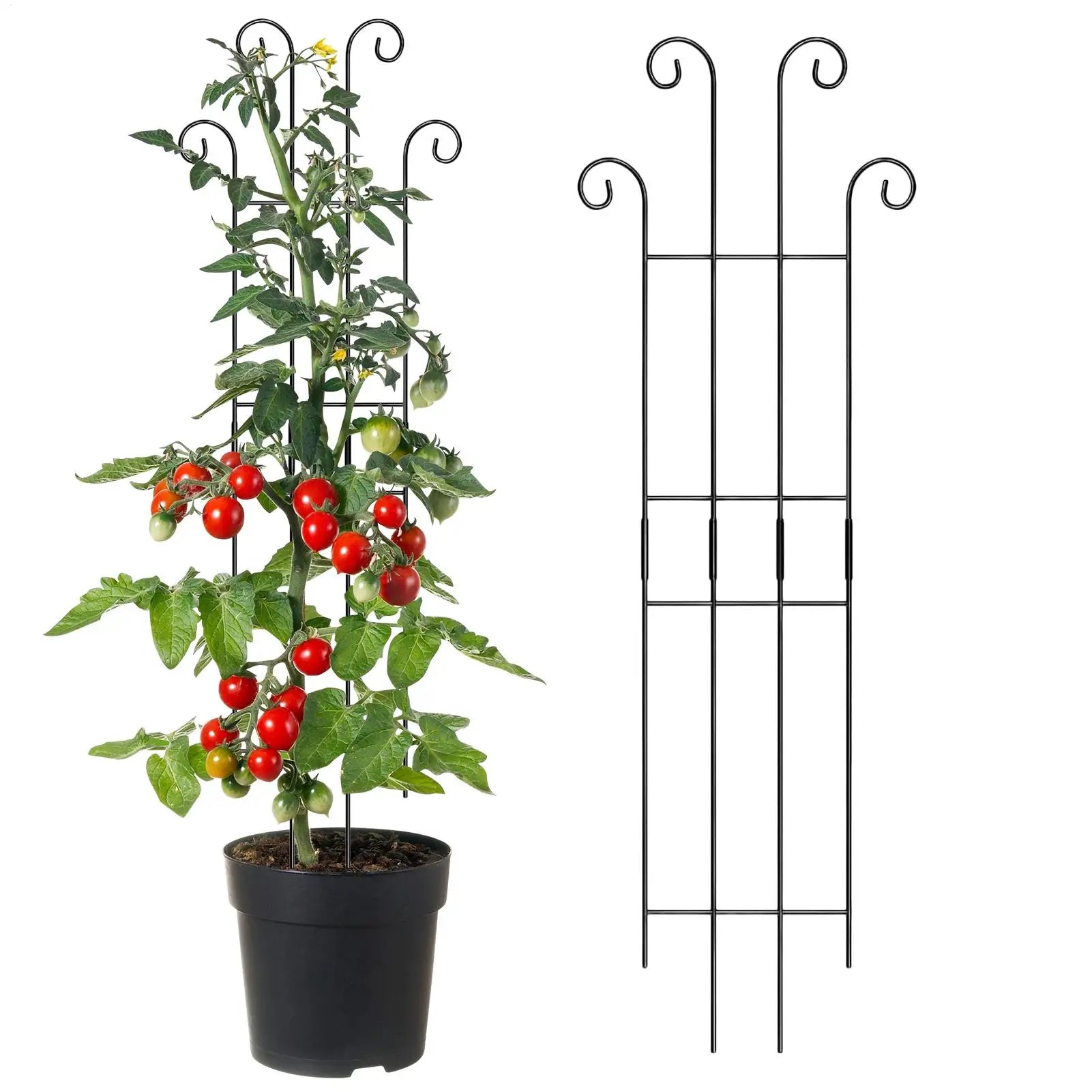 1pcs Plant Trellis Indoor Metal Plant Vertical Growth Trellis Potted Flowers Stakes For Monstera Tomato Flowers Ivy Pots Garden