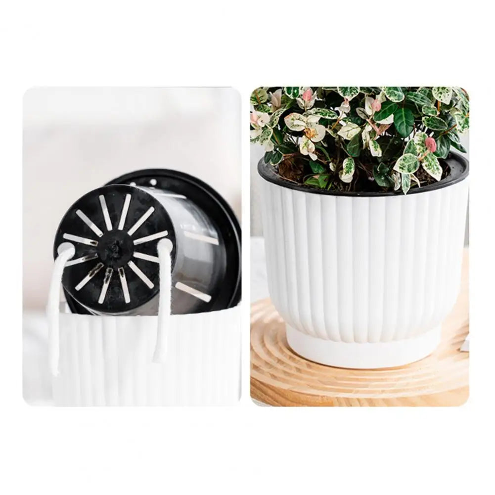 Indoor Self Watering Pot Ventilated Basin Planter Self Watering Indoor Plant Pots with Reservoir Rope Modern Plastic for Herbs