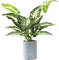 15" Artificial Potted Green Leaf Plants in Pot for Indoor, Home,Living Room,Office,Tabletop,Desk (Taro Leaf)