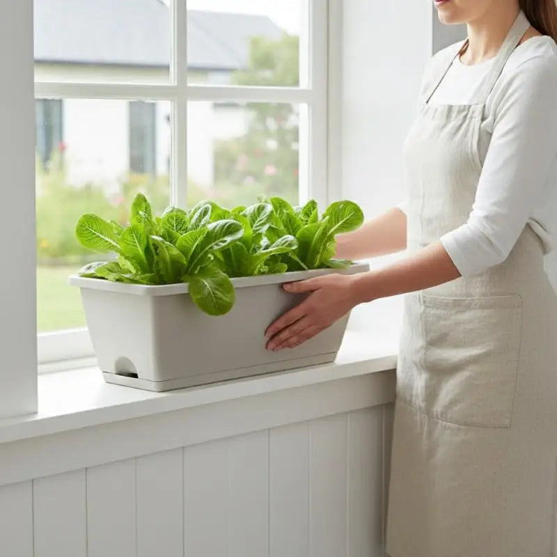 Indoor Self Absorbing Flower Pot For Vegetables Compact With Drainage Tray For Office Windowsill Or Home Decor