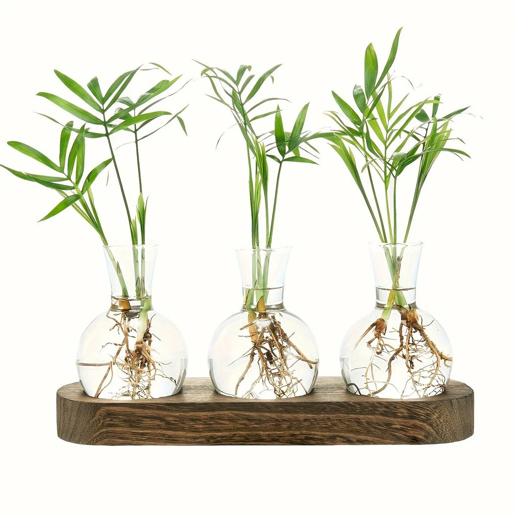 Modern Glass Plant Terrarium with Wooden Tray – Hydroponic Vase for Indoor Propagation Station, Desktop Home Office Decor