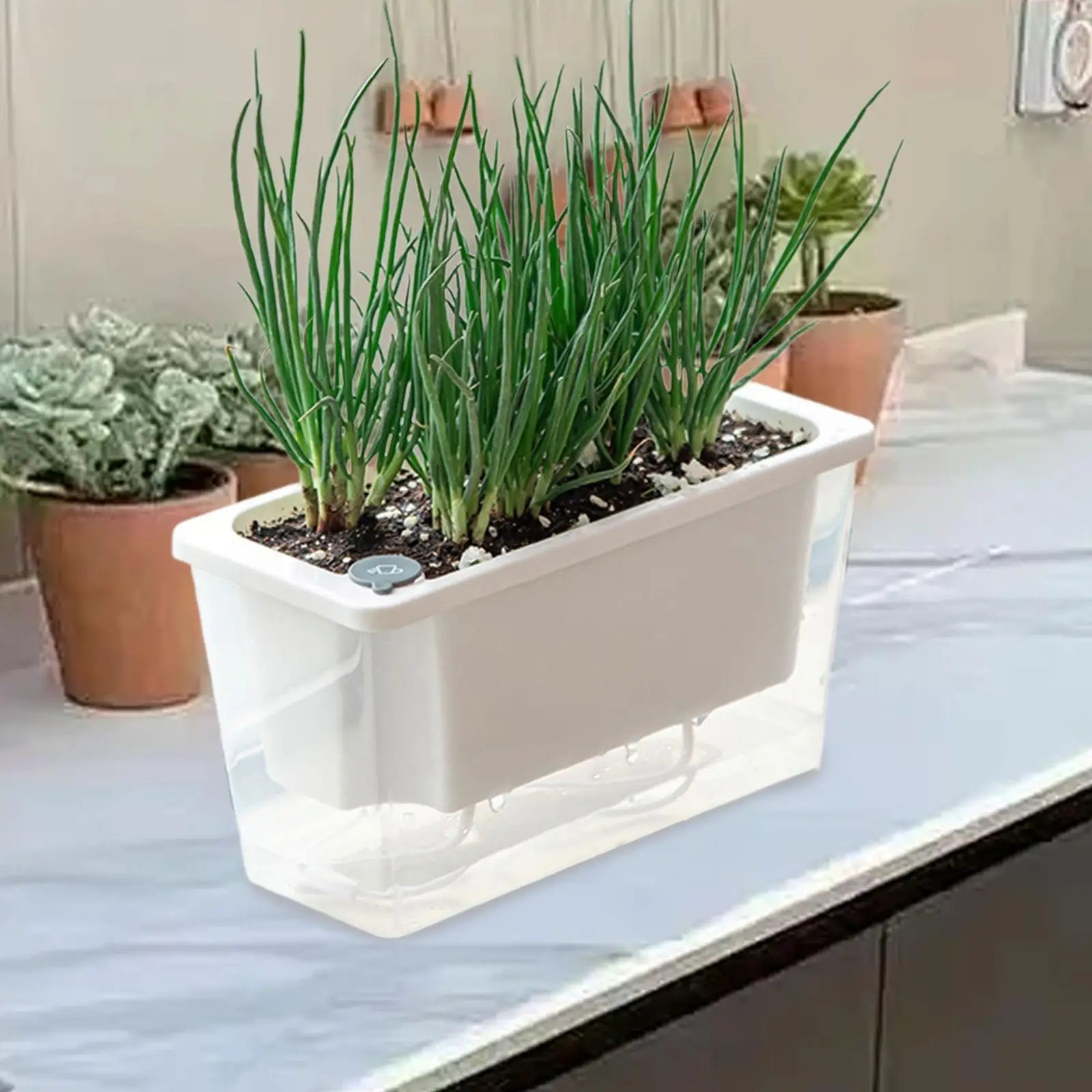 Balcony Self Watering Planter Flowerpot Indoor Succulent Hydroponic Plants Window Planter Box Bottom Home Indoor Lazy Flower Pot