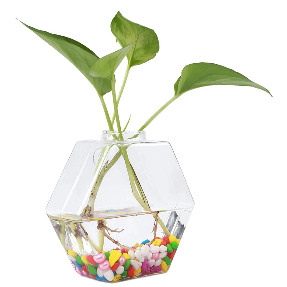 Wall Vases For Plants Indoor Transparent Design Hexagon-Vase Planters For Home/Office