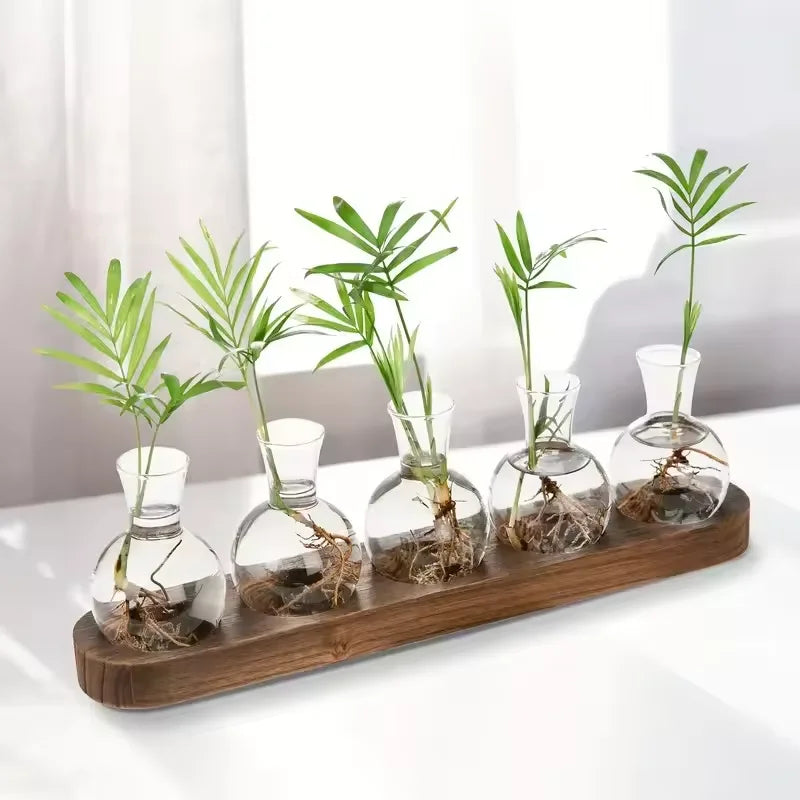 Glass Terrarium for Plants with Wooden Tray – For indoor propagation hydroponic vase，Desktop Home Office Decoration