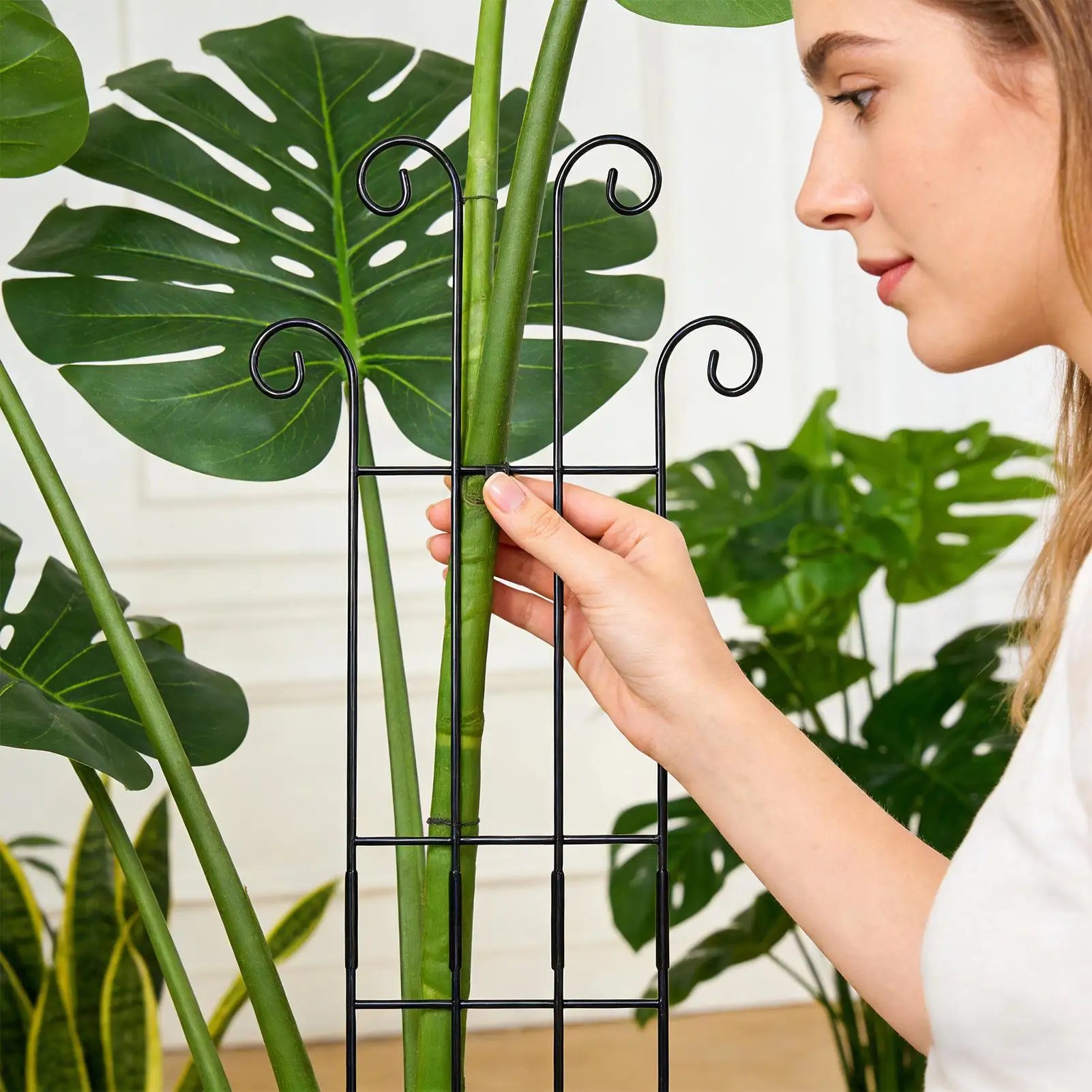 1pcs Plant Trellis Indoor Metal Plant Vertical Growth Trellis Potted Flowers Stakes For Monstera Tomato Flowers Ivy Pots Garden