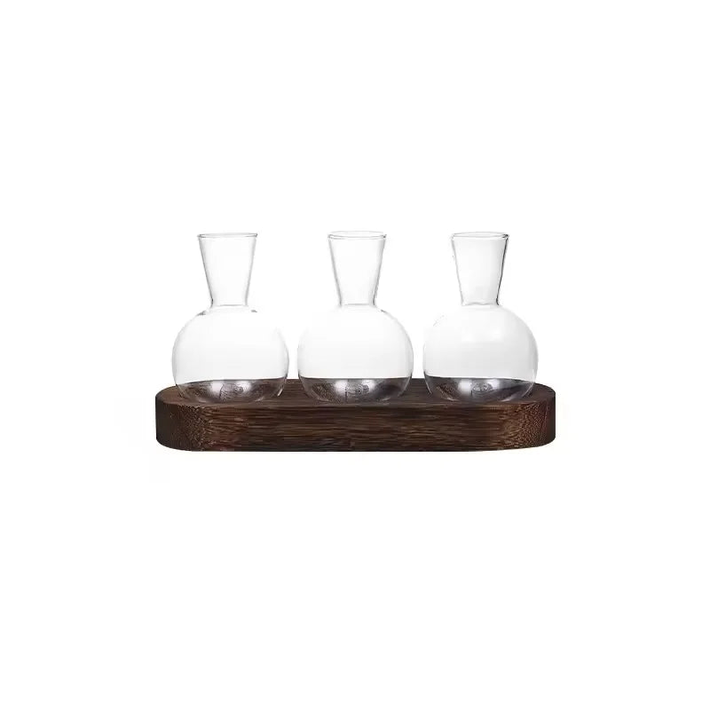 Glass Terrarium for Plants with Wooden Tray – For indoor propagation hydroponic vase，Desktop Home Office Decoration