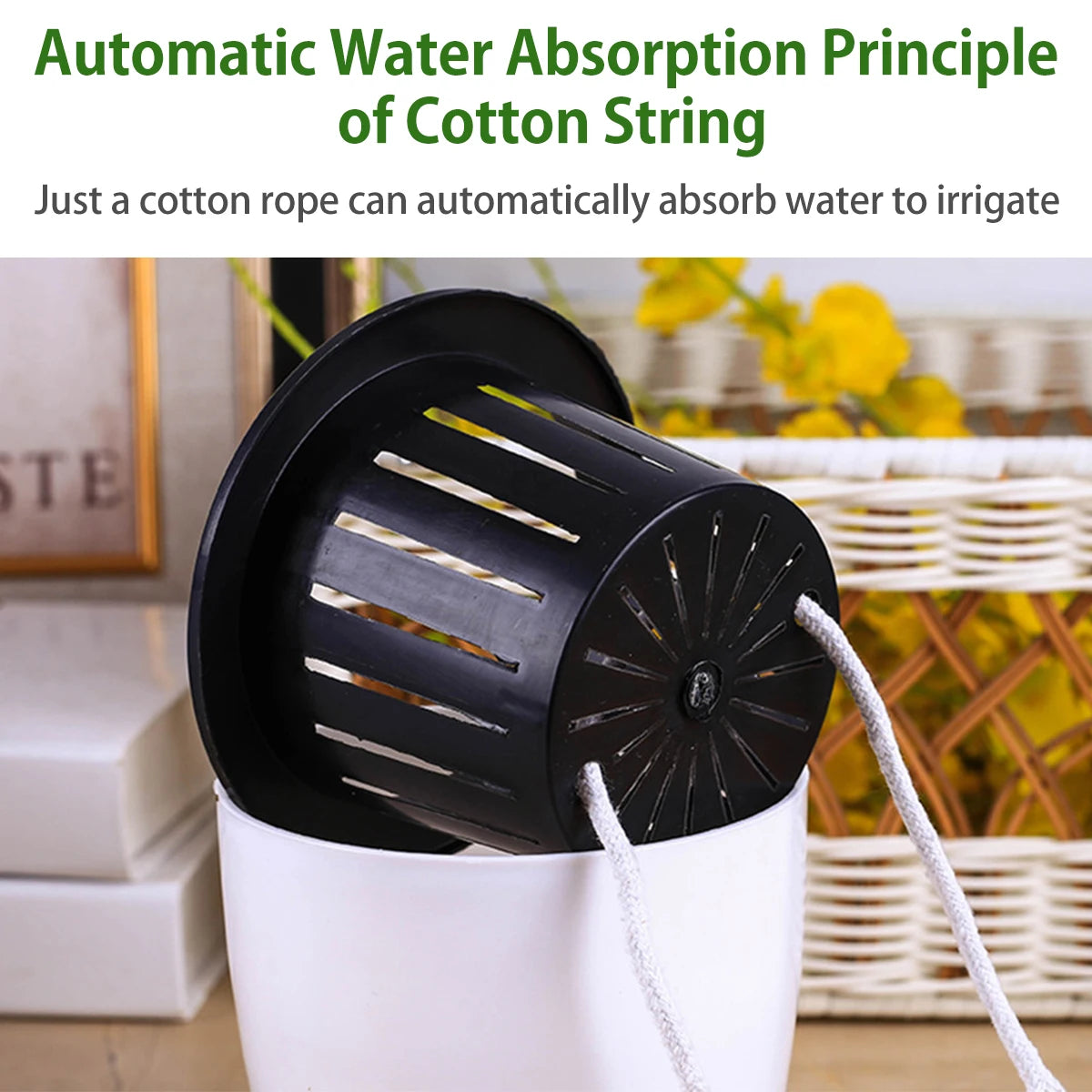 6Pcs Self Watering Pots With Cotton Rope for Indoor Plants 4.7 Inch Self Watering Flower Pot Decorative Garden PP Planter