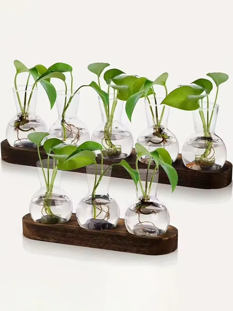 Glass Terrarium for Plants with Wooden Tray – For indoor propagation hydroponic vase，Desktop Home Office Decoration