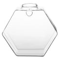 Wall Vases For Plants Indoor Transparent Design Hexagon-Vase Planters For Home/Office