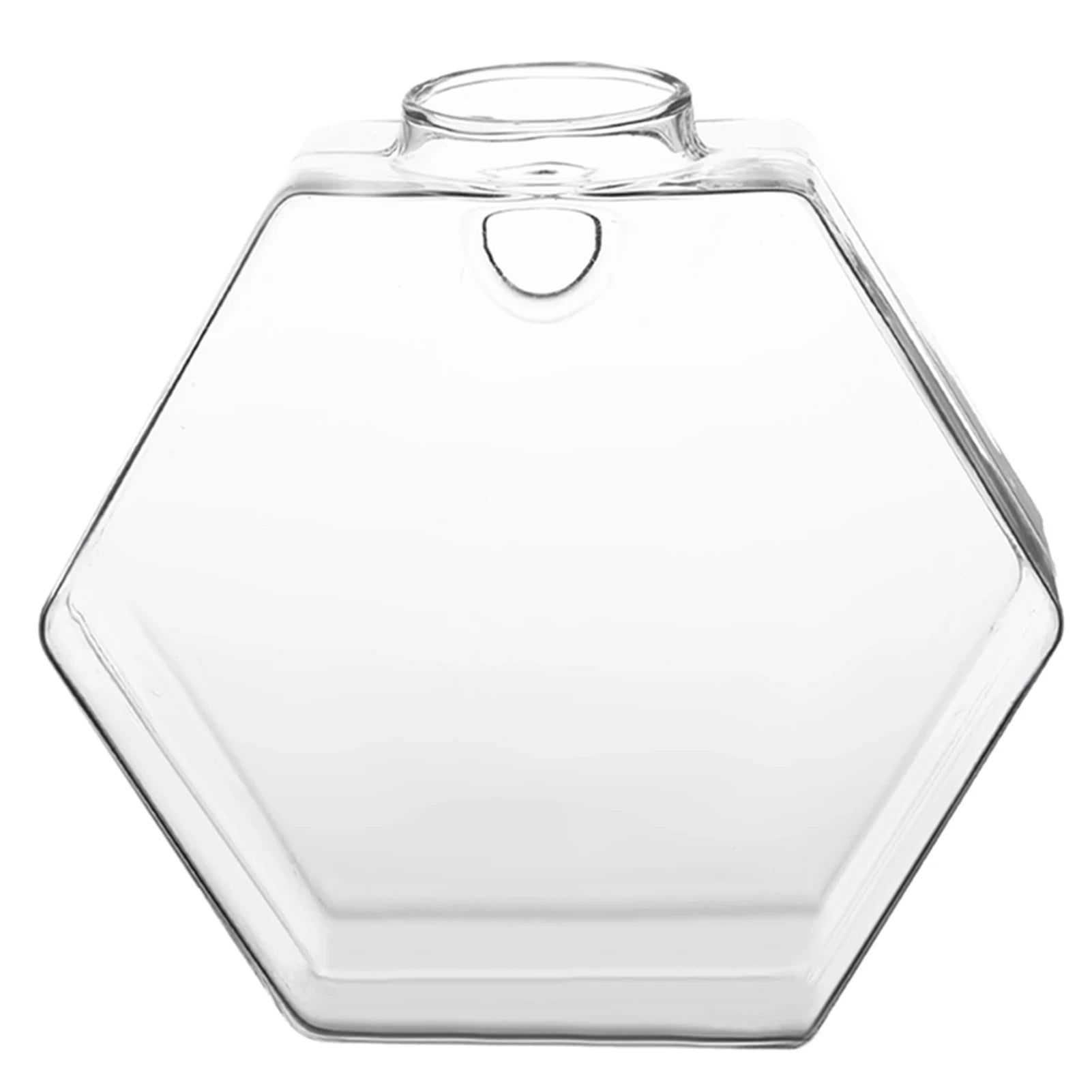Wall Vases For Plants Indoor Transparent Design Hexagon-Vase Planters For Home/Office