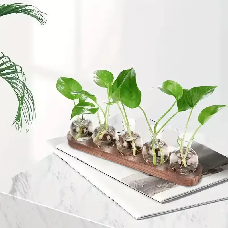 Glass Terrarium for Plants with Wooden Tray – For indoor propagation hydroponic vase，Desktop Home Office Decoration