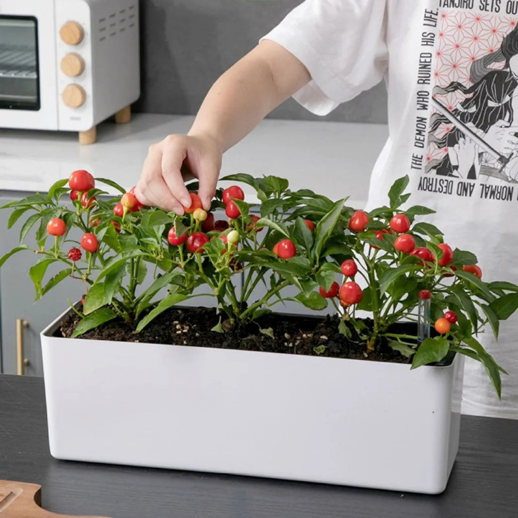 Rectangular Planter Garden Planter with Water Level Indicator Garden Plant Pot Indoor Plants Flowers Planter Decorative Planter
