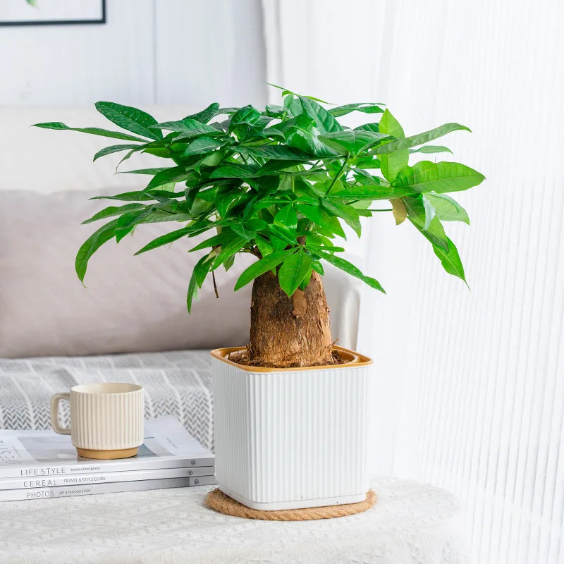 Self-Watering Flower Pot for Lazy People Nordic Style Vertical Striped Square Thickened Plastic Resin Indoor Balcony Green Plant