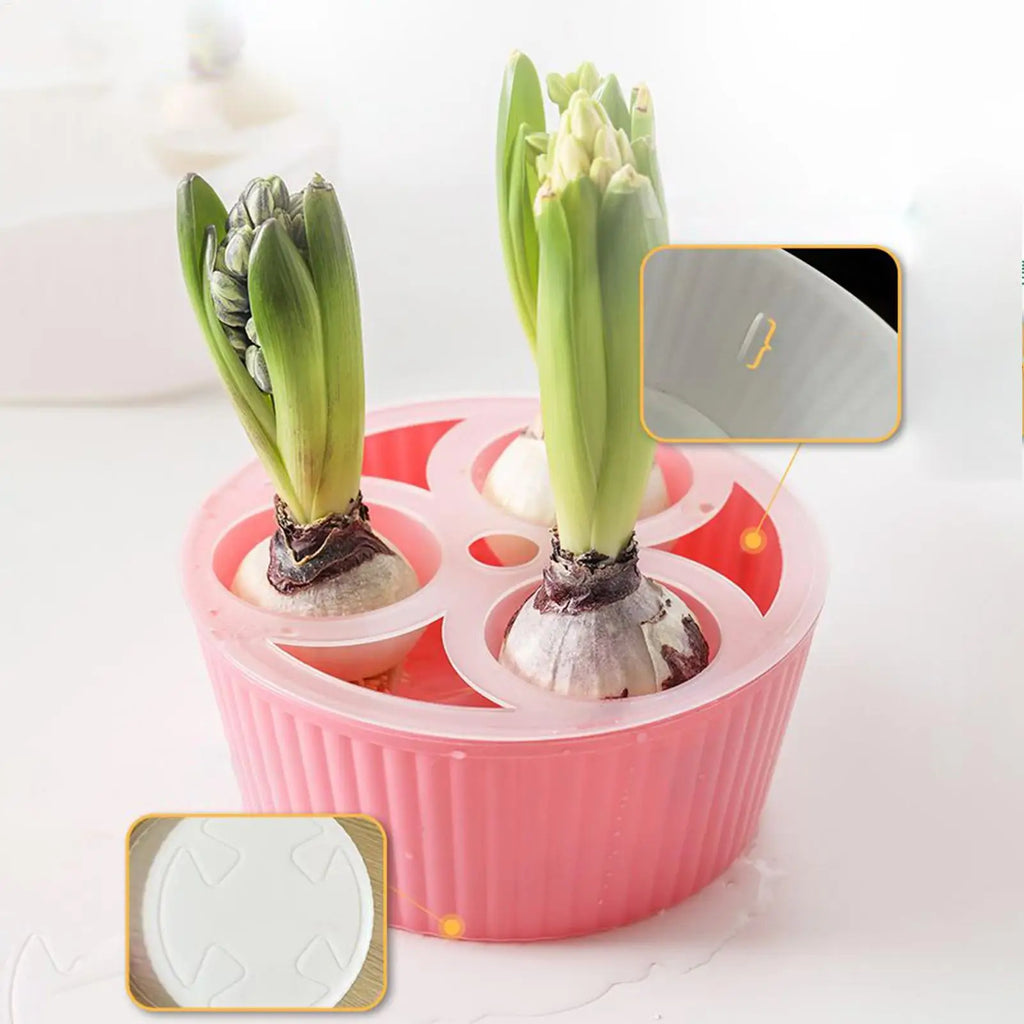 3-Hole Hydroponic Planter for Flower Bulbs, Glass Hyacinth Vase for Indoor Gardening, Elegant Planting Container for Living Room