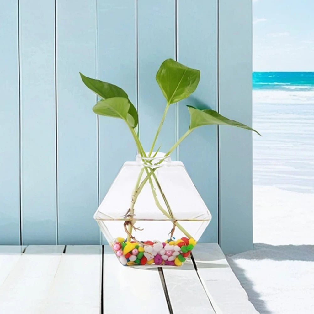 Wall Vases For Plants Indoor Transparent Design Hexagon-Vase Planters For Home/Office