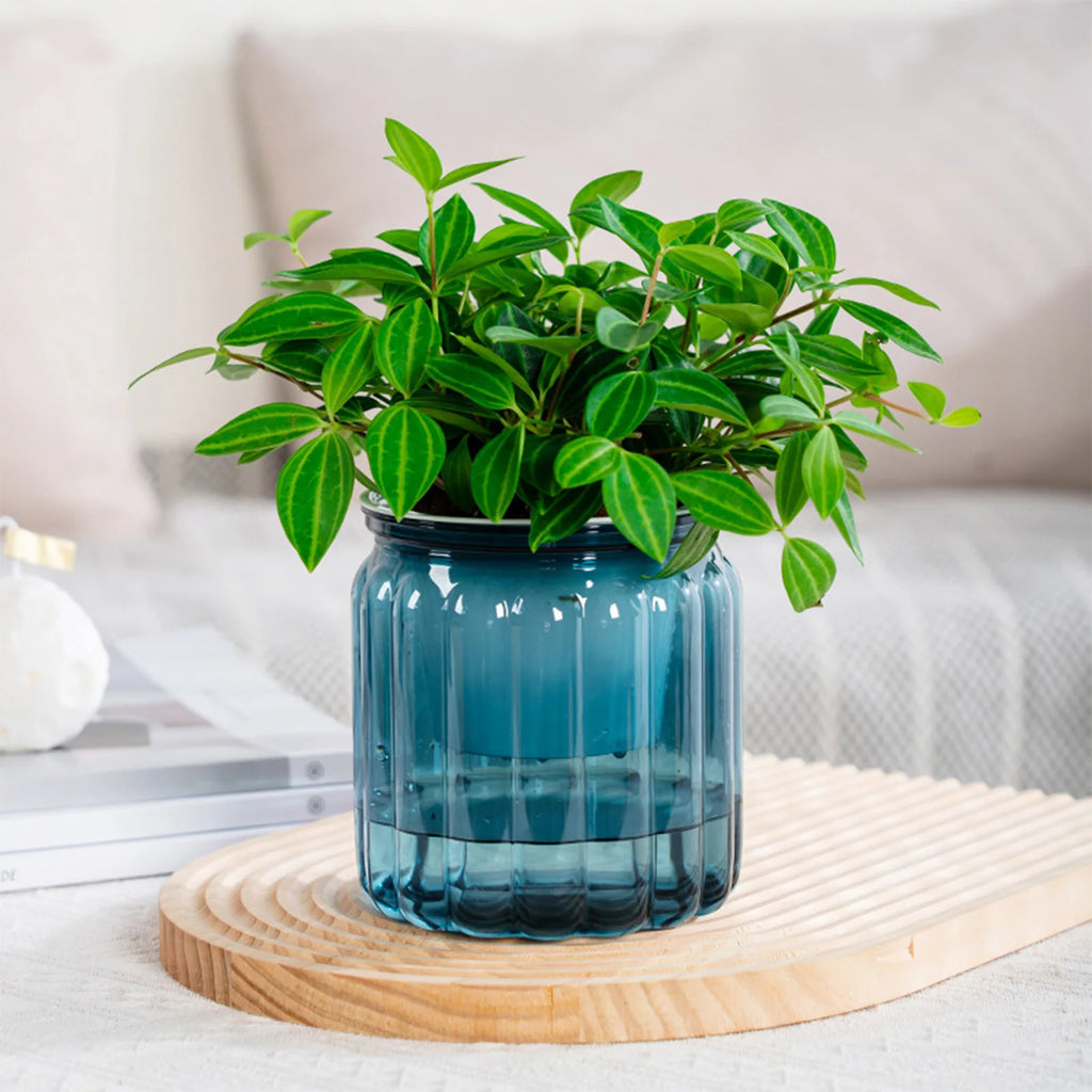 Modern Self-Watering Planters Indoor Translucent Stylish Minimalist Flower Container Home Decor Office Desk Plants Vases Gift