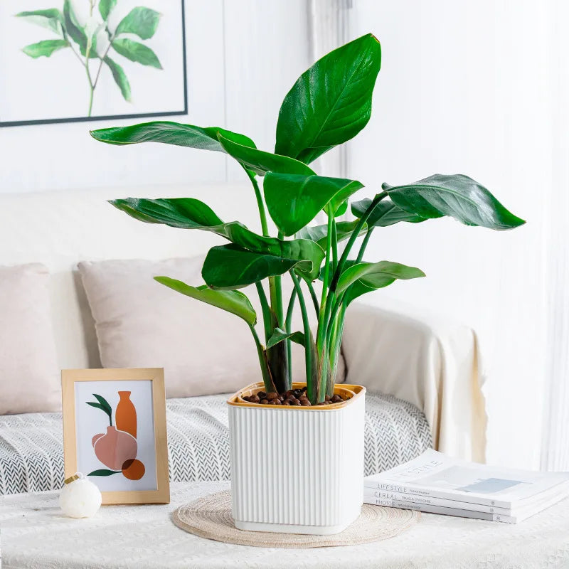 Self-Watering Flower Pot for Lazy People Nordic Style Vertical Striped Square Thickened Plastic Resin Indoor Balcony Green Plant