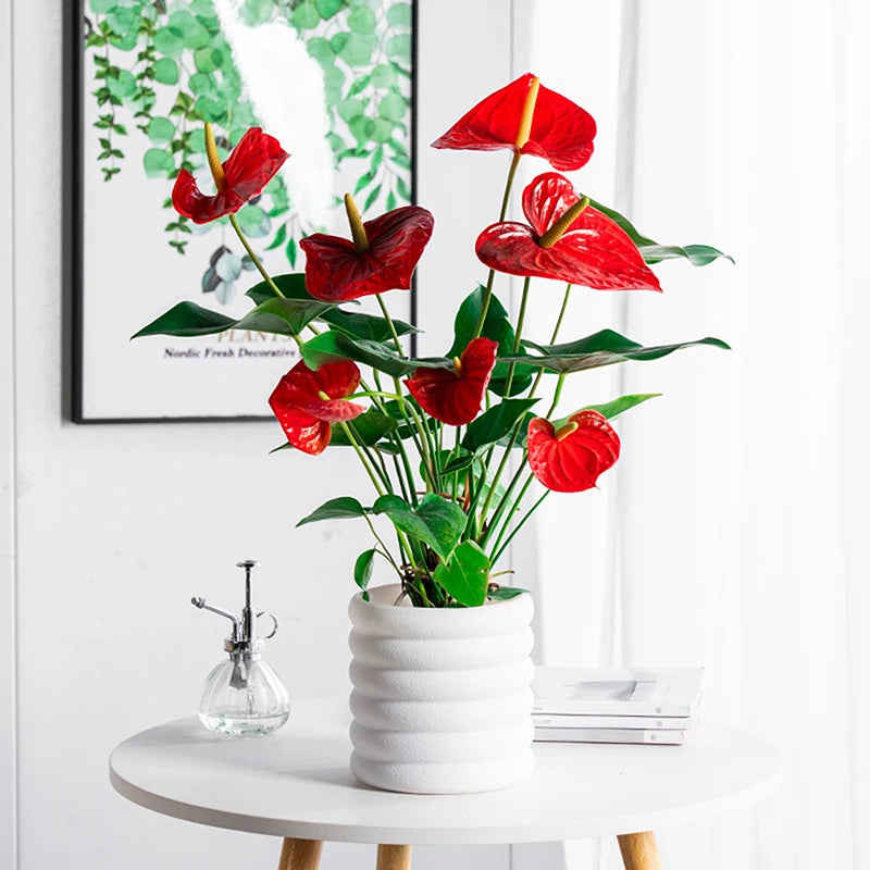 【S】Planters Indoor Plants Pots Indoor Office For Flower Multipurpose Planters For And Vegetable For Plants Pot High