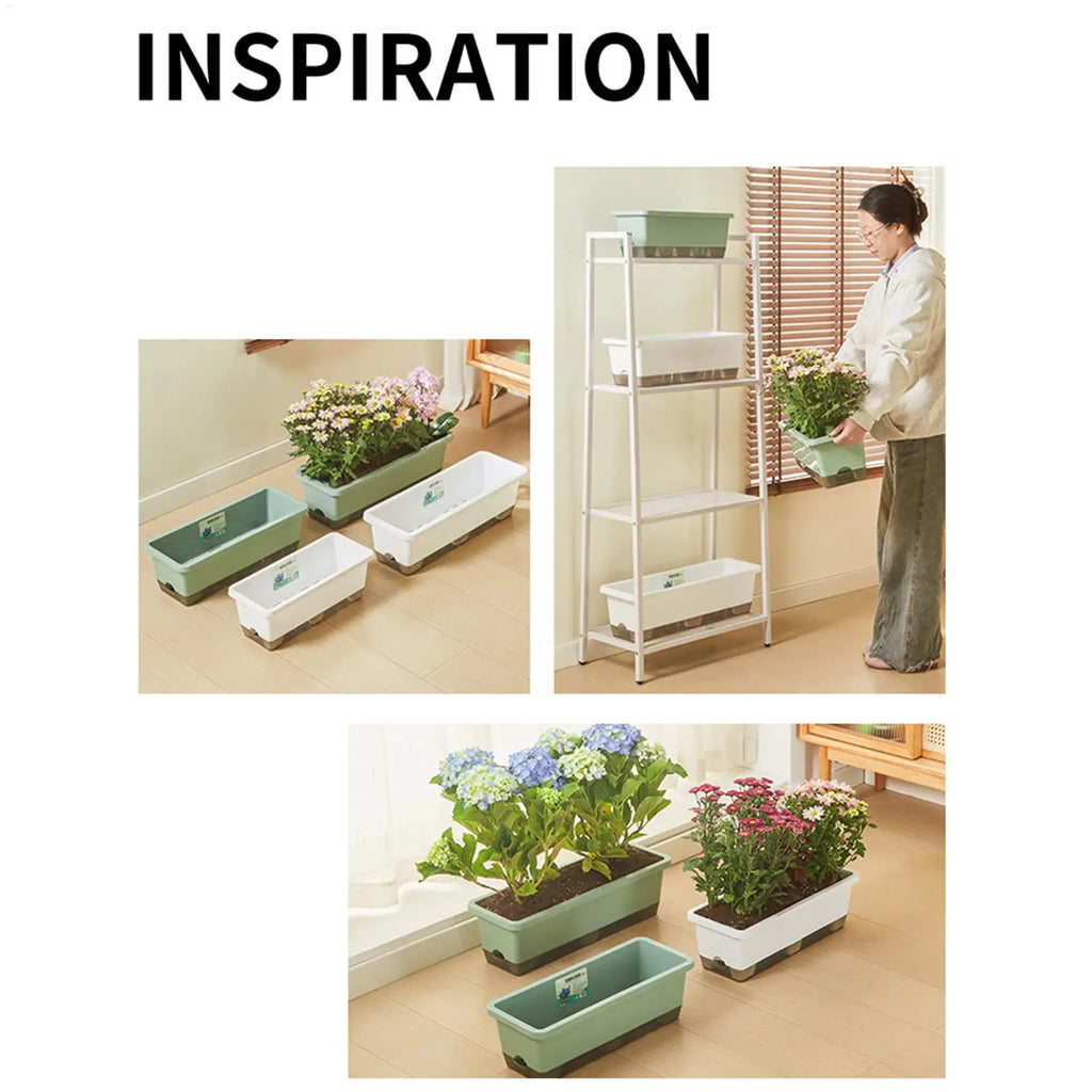 Self-watering planter for indoor and balcony vegetable growing, Suitable for cuttings, seedlings, herbs, African violets