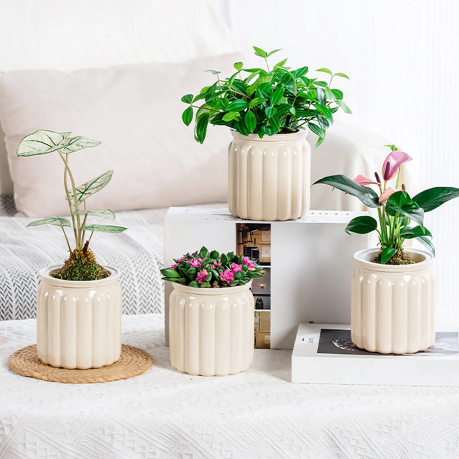 Modern Self-Watering Planters Indoor Translucent Stylish Minimalist Flower Container Home Decor Office Desk Plants Vases Gift