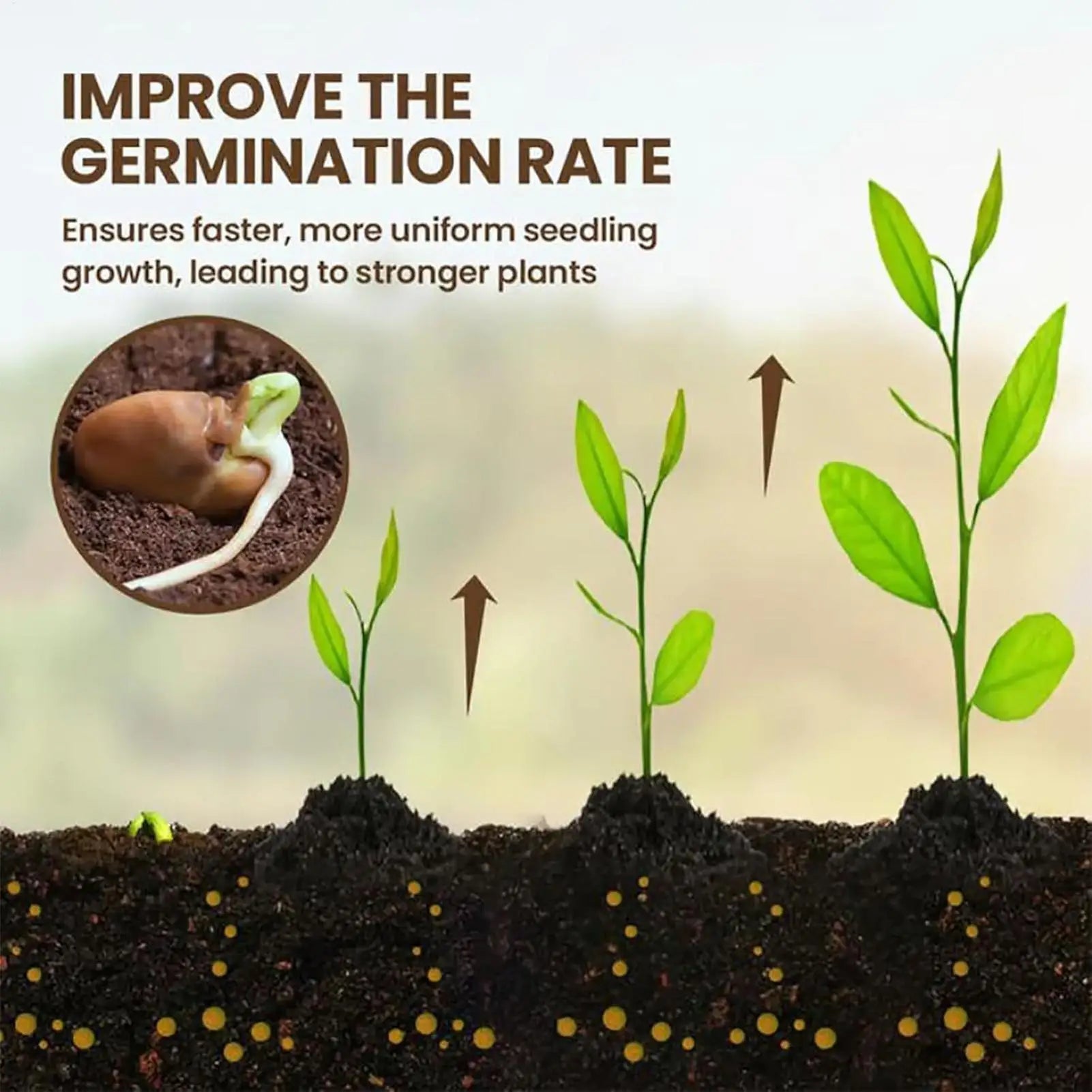 60G Organic Soil Activators And Plant Fertilizers Indoor Plant Fertilizers For Healthy Flowers And Soil Plants
