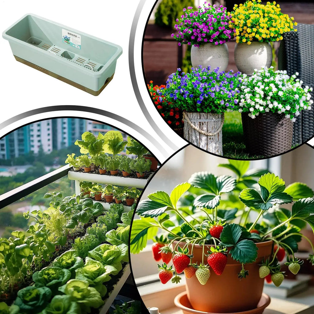 Self-watering planter for indoor and balcony vegetable growing, Suitable for cuttings, seedlings, herbs, African violets