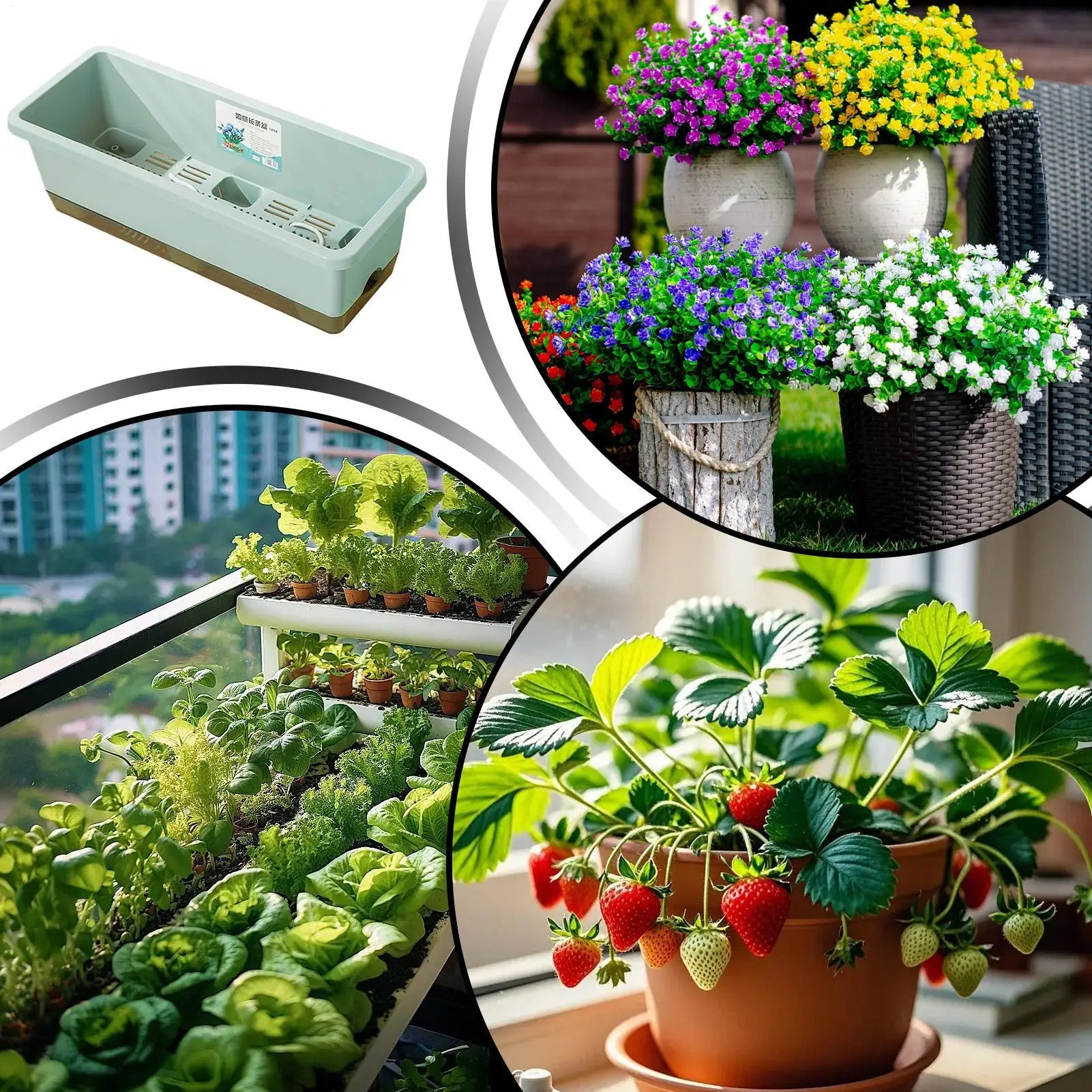 Self-watering planter for indoor and balcony vegetable growing, Suitable for cuttings, seedlings, herbs, African violets