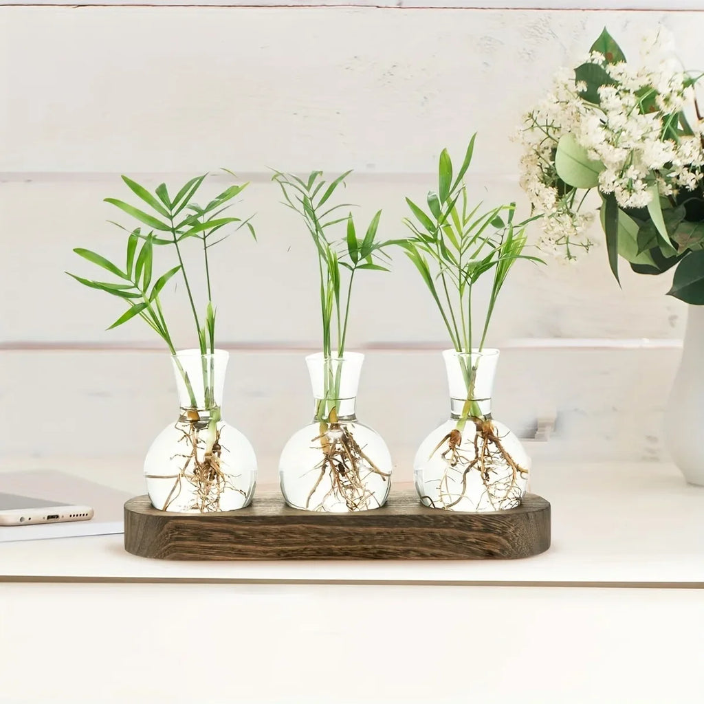 Glass Terrarium for Plants with Wooden Tray – For indoor propagation hydroponic vase，Desktop Home Office Decoration