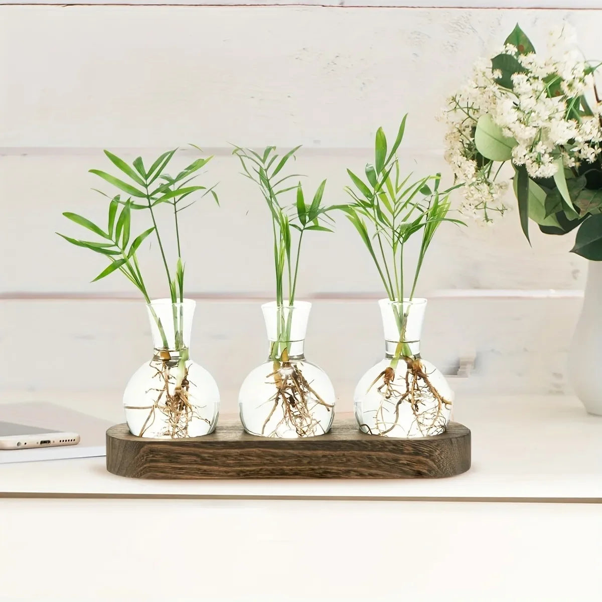 Glass Terrarium for Plants with Wooden Tray – For indoor propagation hydroponic vase，Desktop Home Office Decoration
