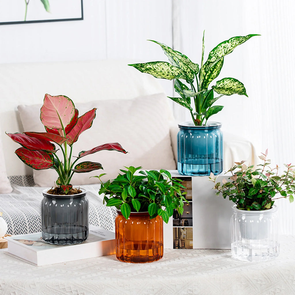 Modern Self-Watering Planters Indoor Translucent Stylish Minimalist Flower Container Home Decor Office Desk Plants Vases Gift