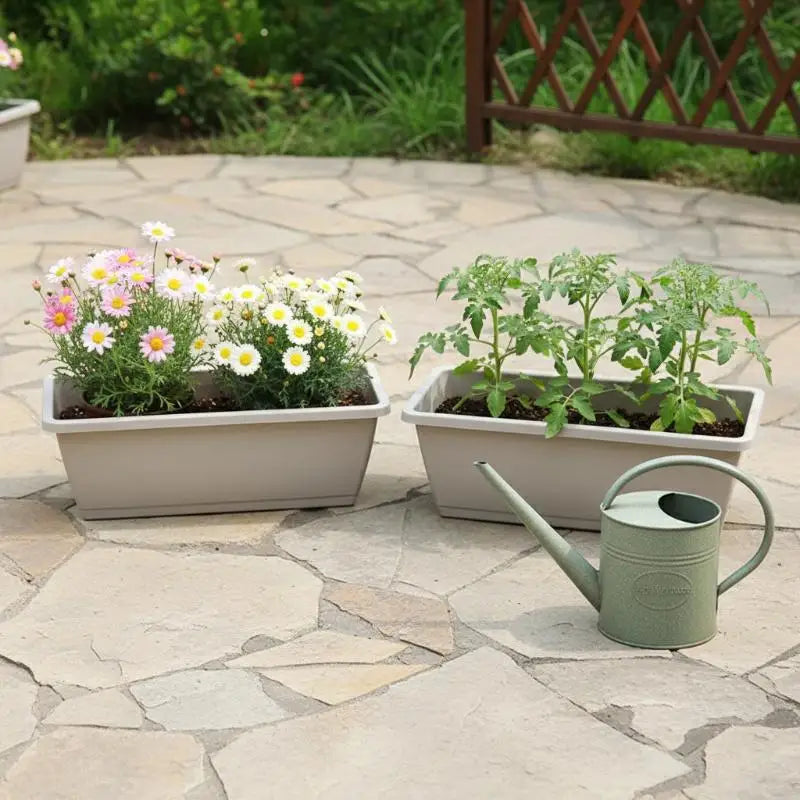 Indoor Self Absorbing Flower Pot For Vegetables Compact With Drainage Tray For Office Windowsill Or Home Decor