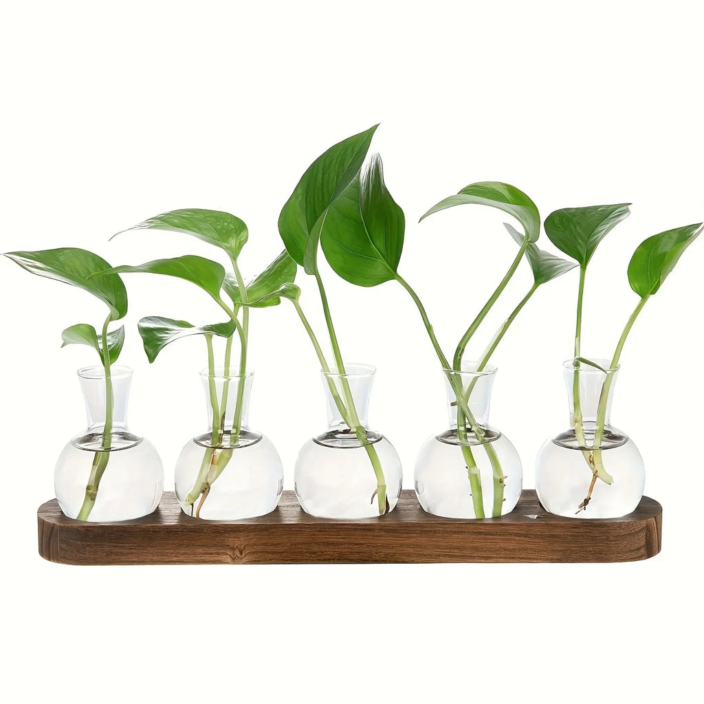 Glass Terrarium for Plants with Wooden Tray – For indoor propagation hydroponic vase，Desktop Home Office Decoration