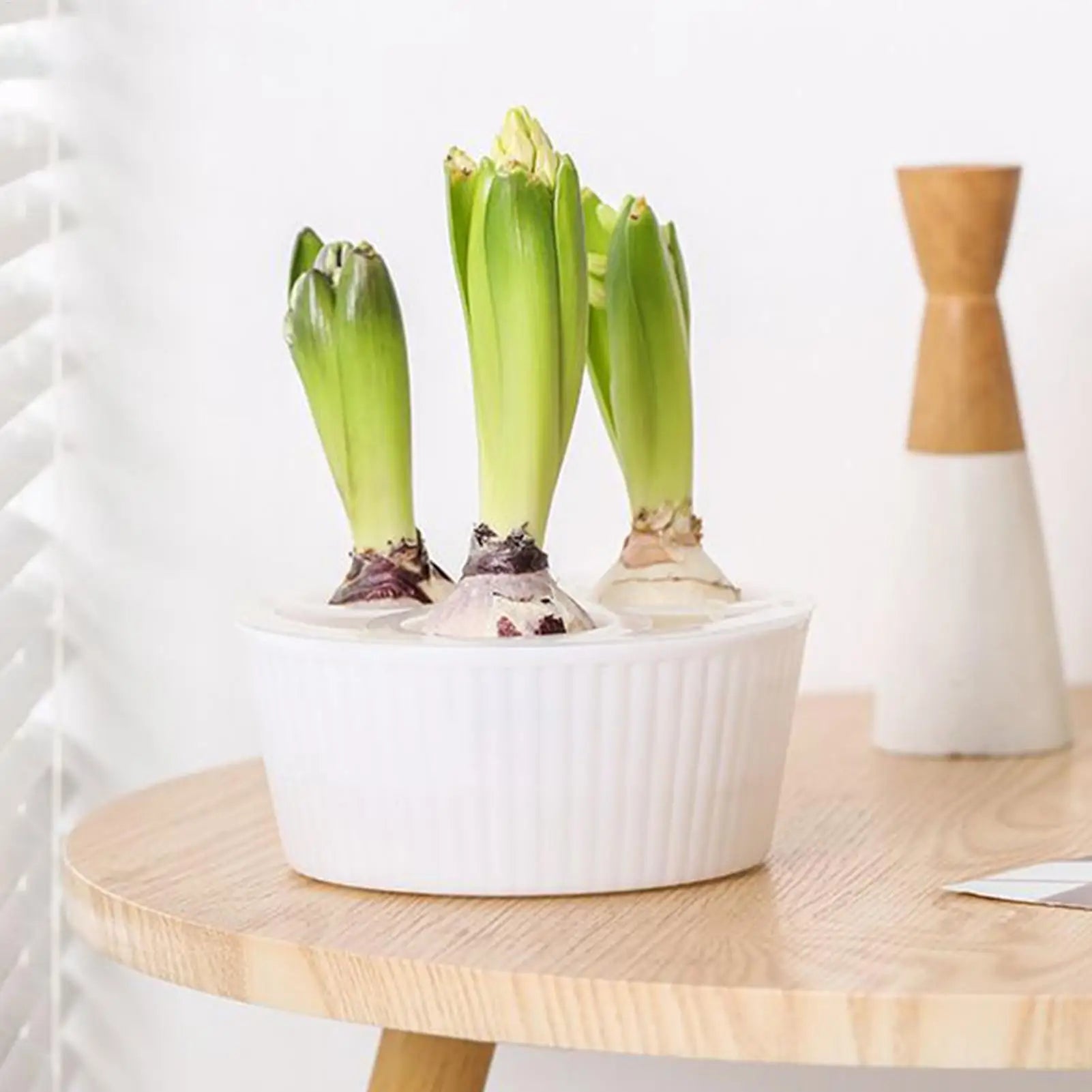 3-Hole Hydroponic Planter for Flower Bulbs, Glass Hyacinth Vase for Indoor Gardening, Elegant Planting Container for Living Room