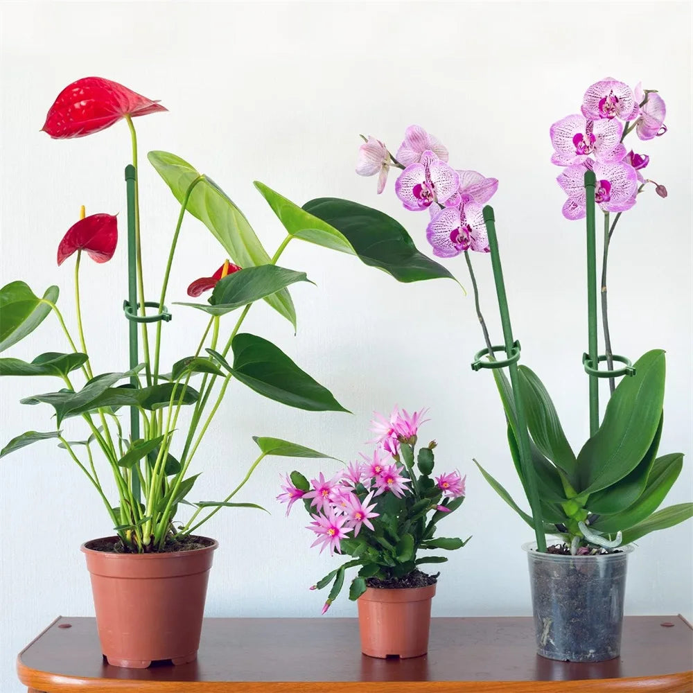 Plant Stakes Plant Support Stakes Suitable for Indoor Outdoor Plants Green Plant Stick Support Potted Plants Floral Vegetable
