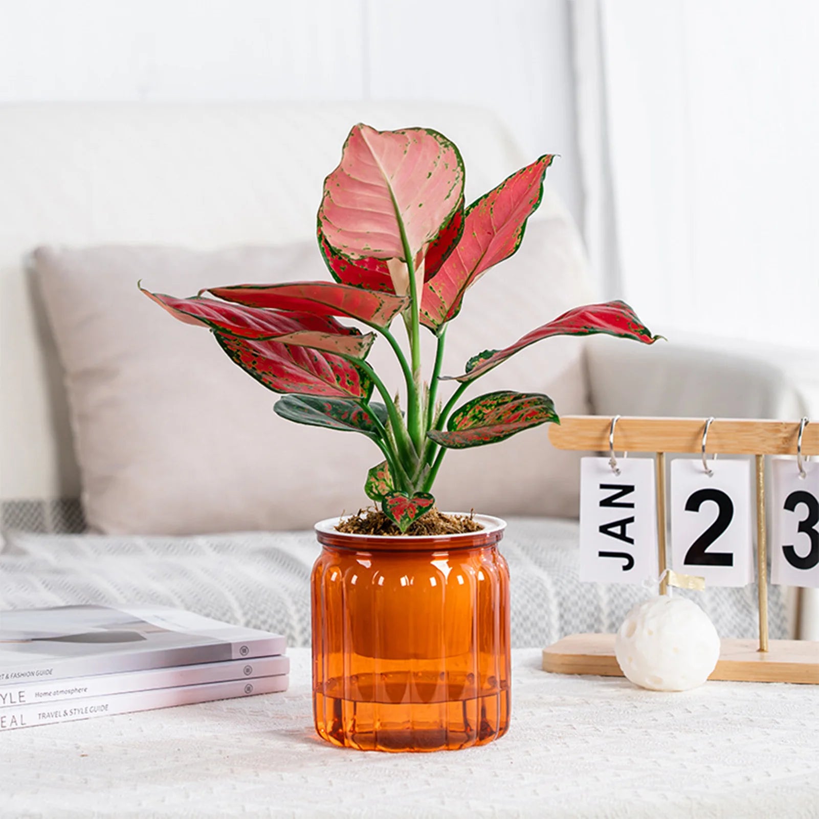 Modern Self-Watering Planters Indoor Translucent Stylish Minimalist Flower Container Home Decor Office Desk Plants Vases Gift