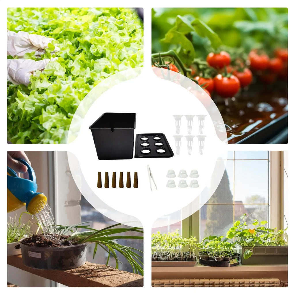 Indoor Hydroponic Planting Kit Complete Seedling Box for Growing Lettuce, Flowers on Balcony, in Apartments & Hotels