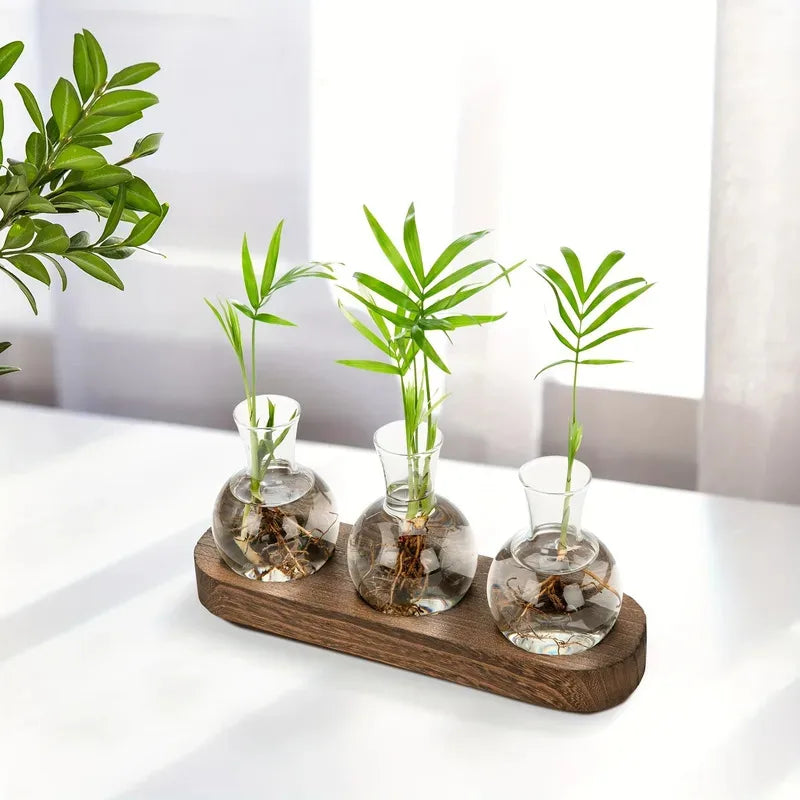 Glass Terrarium for Plants with Wooden Tray – For indoor propagation hydroponic vase，Desktop Home Office Decoration