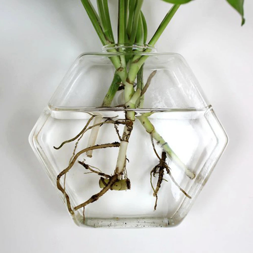 Wall Vases For Plants Indoor Transparent Design Hexagon-Vase Planters For Home/Office