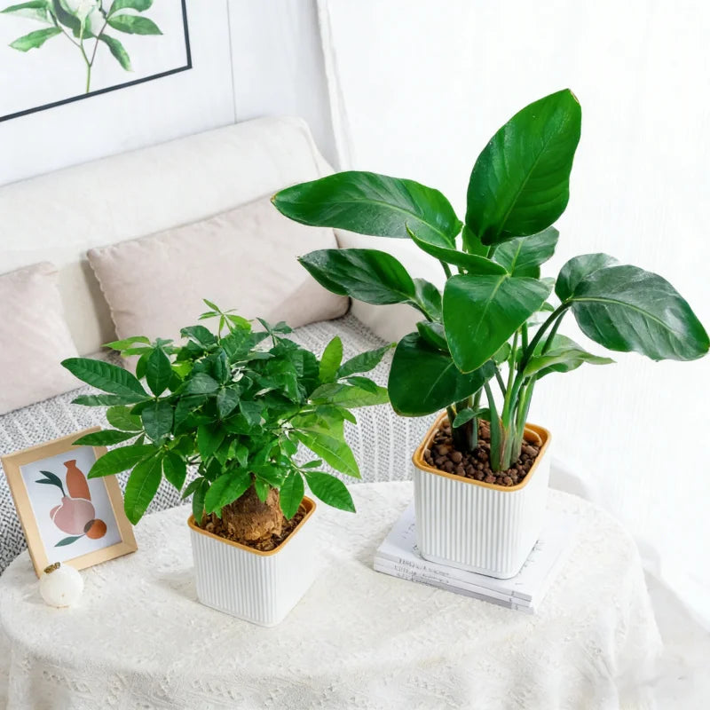 Self-Watering Flower Pot for Lazy People Nordic Style Vertical Striped Square Thickened Plastic Resin Indoor Balcony Green Plant