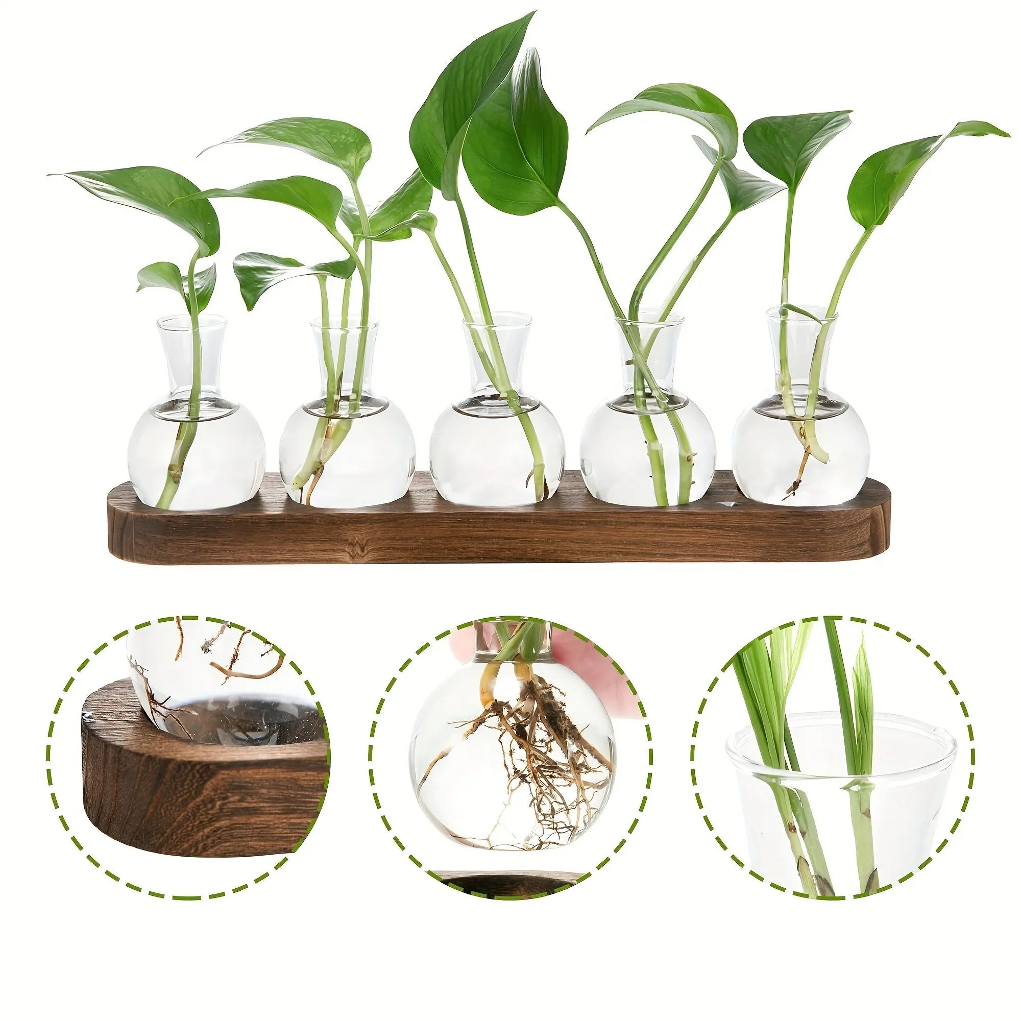Glass Terrarium for Plants with Wooden Tray – For indoor propagation hydroponic vase，Desktop Home Office Decoration