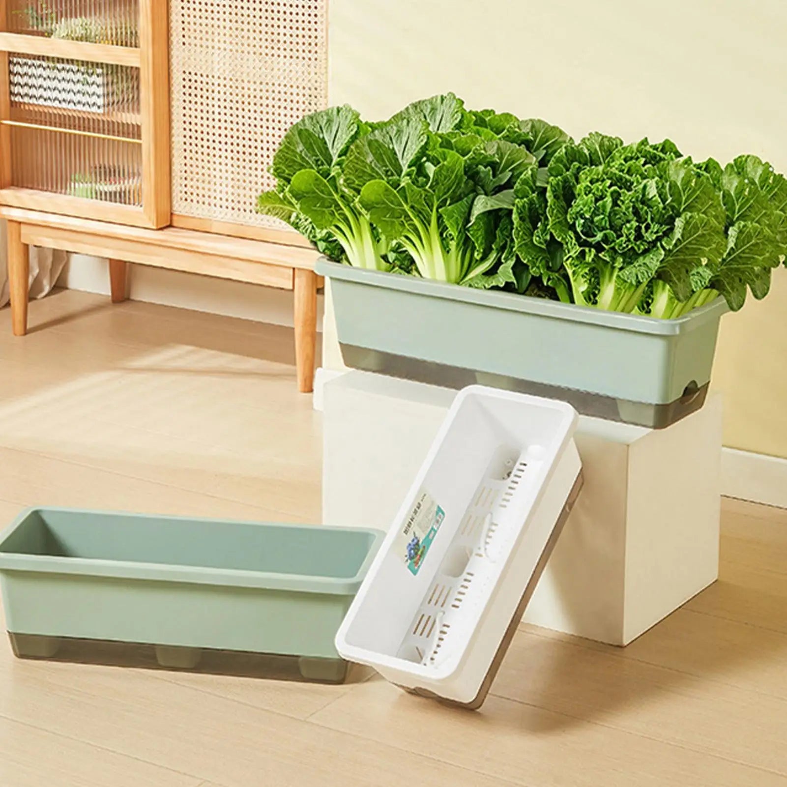 Self-watering planter for indoor and balcony vegetable growing, Suitable for cuttings, seedlings, herbs, African violets