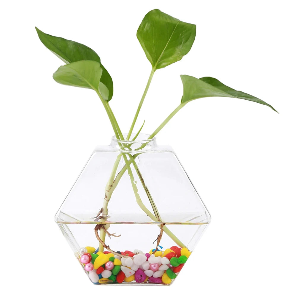 Wall Vases For Plants Indoor Transparent Design Hexagon-Vase Planters For Home/Office