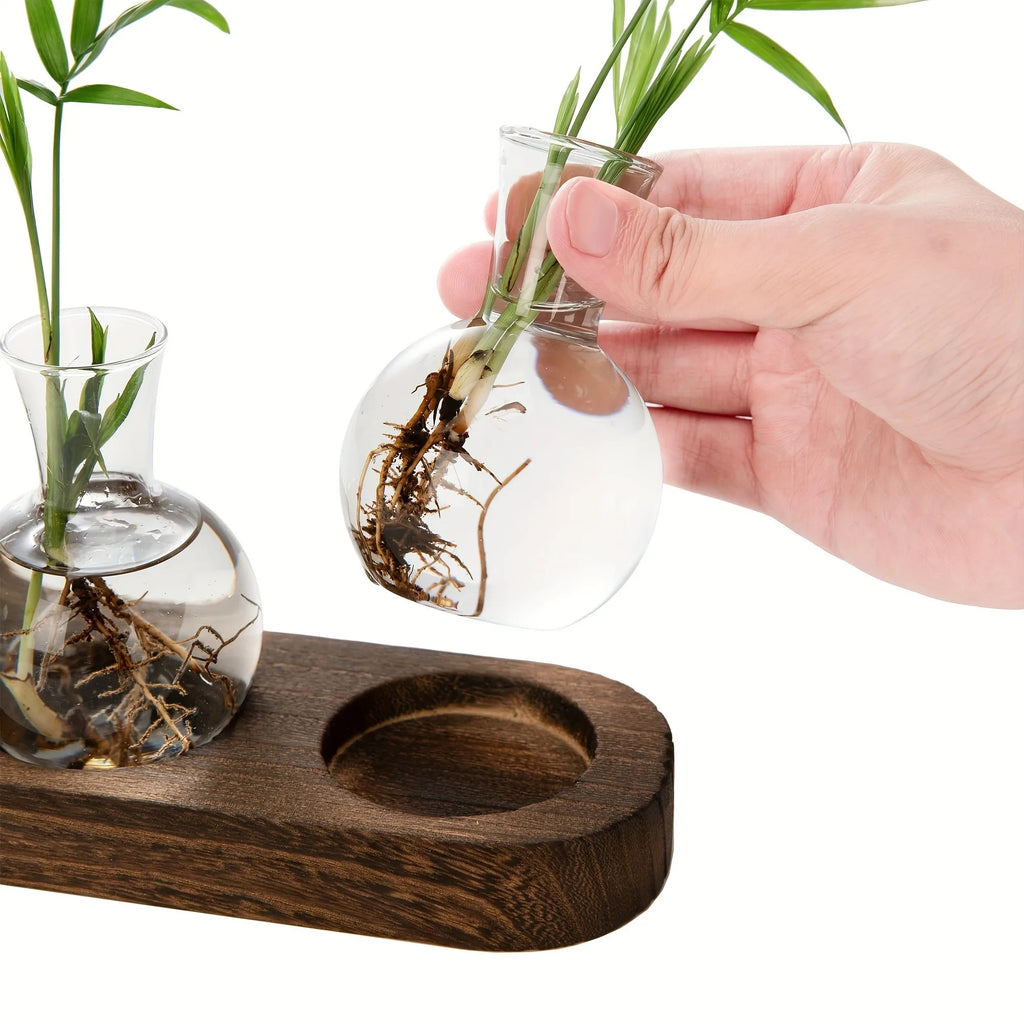 Modern Glass Plant Terrarium with Wooden Tray – Hydroponic Vase for Indoor Propagation Station, Desktop Home Office Decor