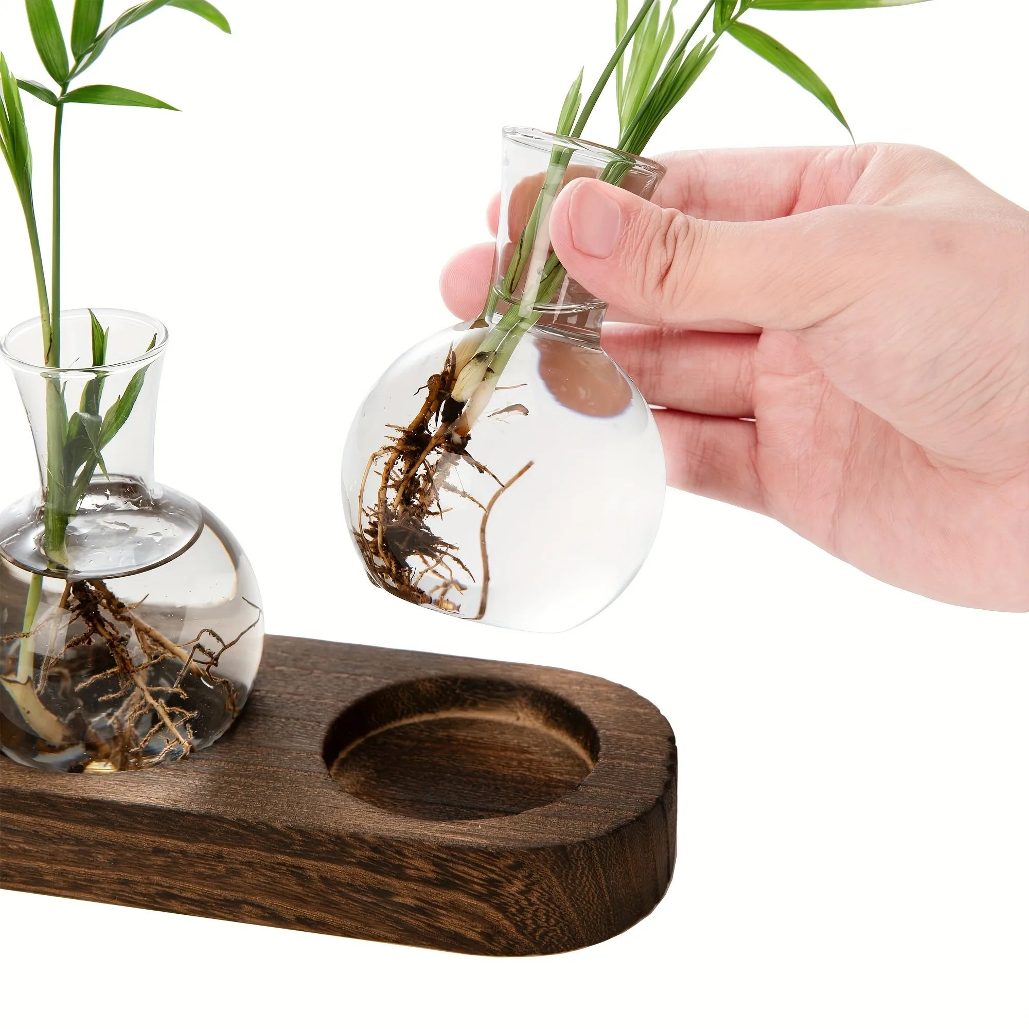 Modern Glass Plant Terrarium with Wooden Tray – Hydroponic Vase for Indoor Propagation Station, Desktop Home Office Decor